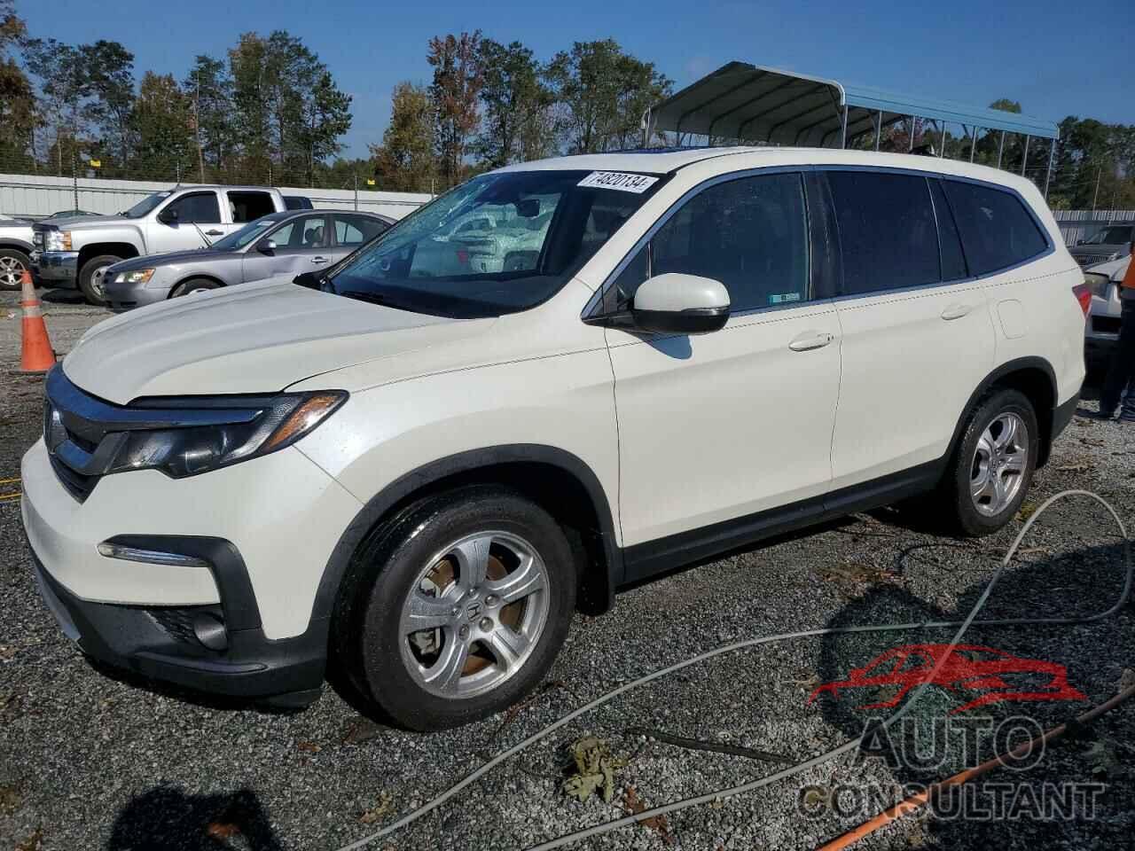 HONDA PILOT 2019 - 5FNYF5H51KB020129