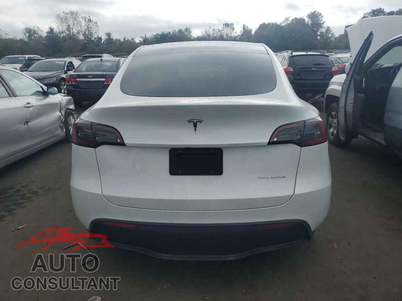 TESLA MODEL Y 2024 - 7SAYGAEE3RF060557