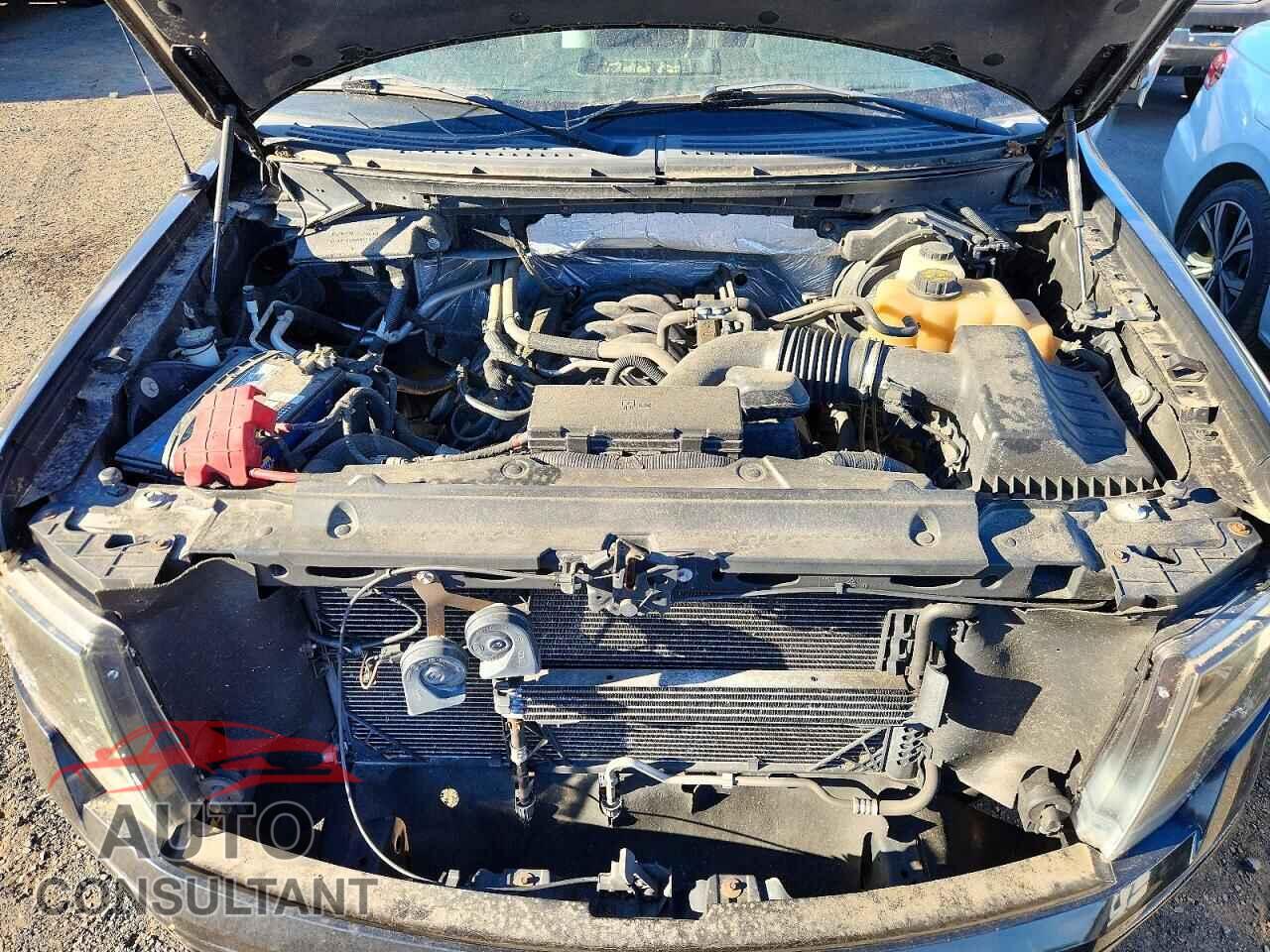 FORD F150 2012 - 1FTFW1EF1CFA80065