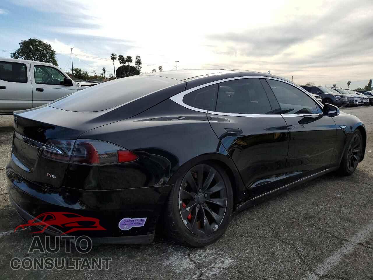TESLA MODEL S 2013 - 5YJSA1CP3DFP07895