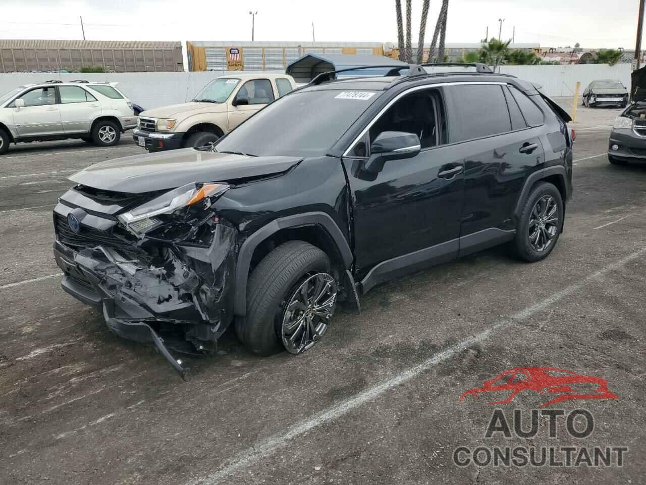 TOYOTA RAV4 2024 - JTMB6RFV5RD127993