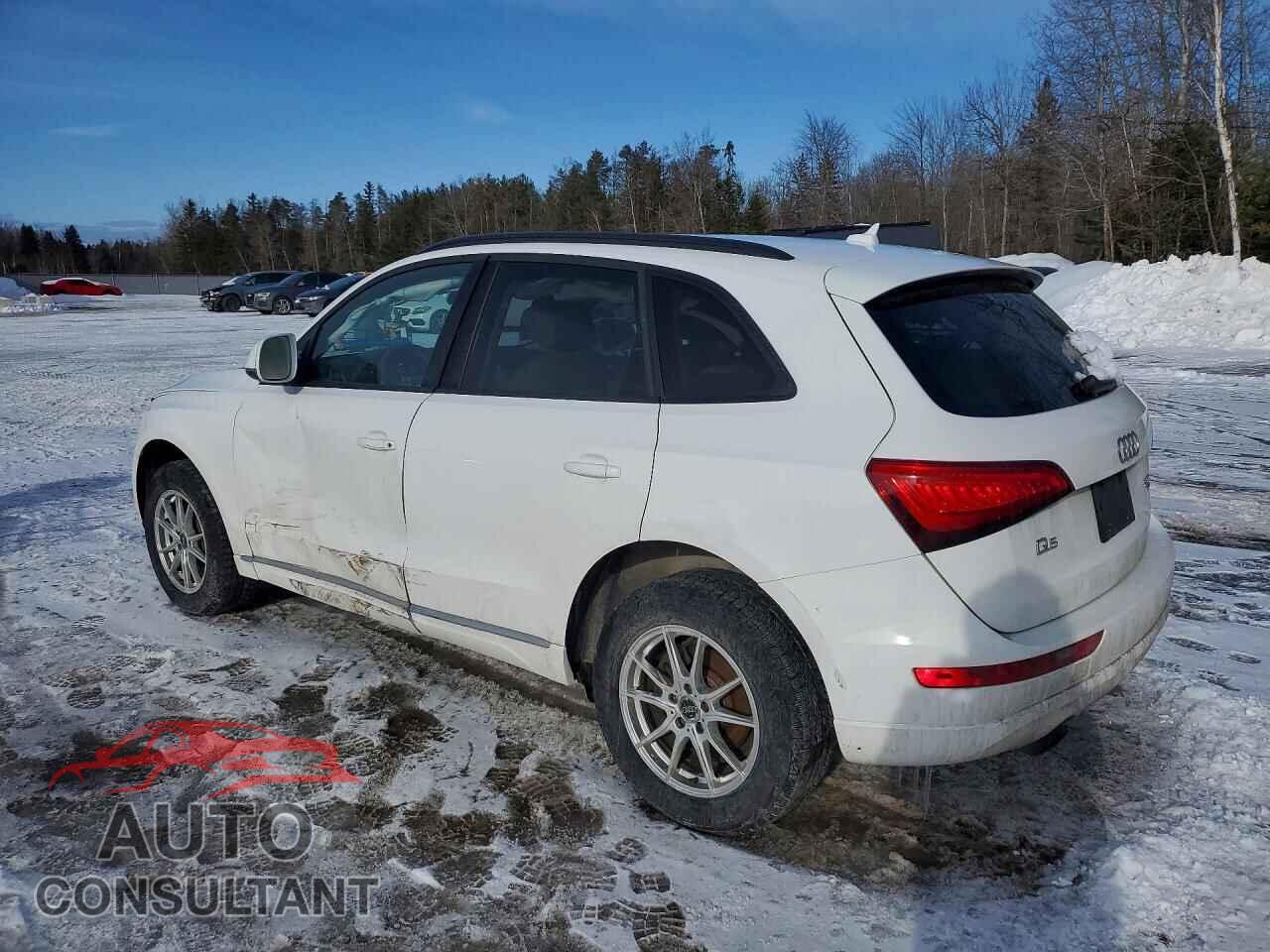 AUDI Q5 2013 - WA1CFCFP7DA063298