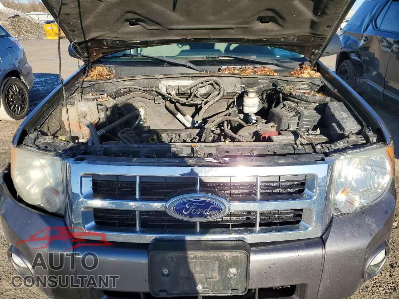 FORD ESCAPE 2011 - 1FMCU0D74BKC04280