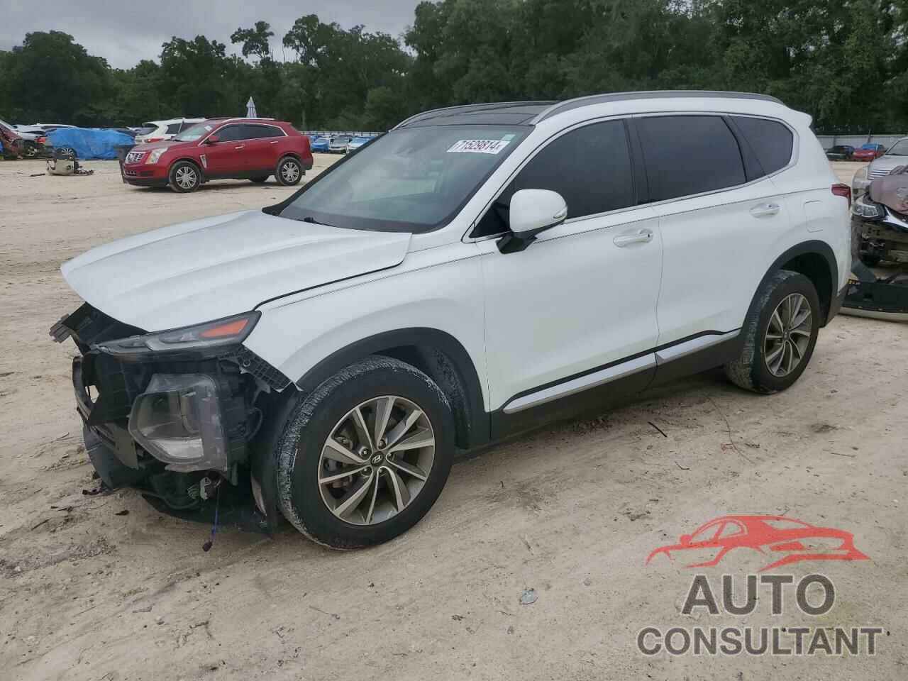 HYUNDAI SANTA FE 2019 - 5NMS53AD3KH018489