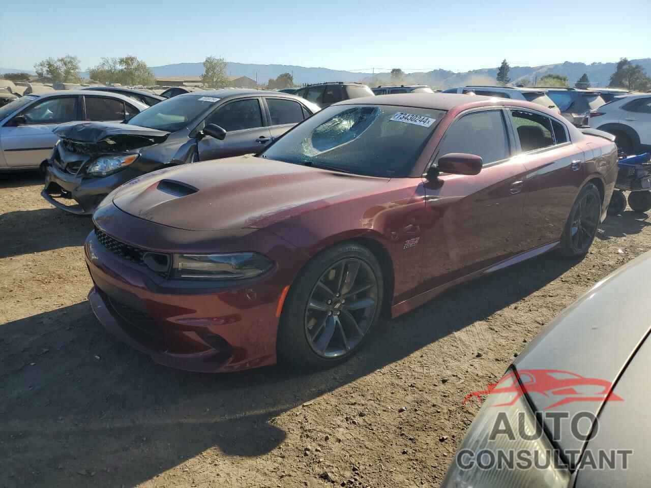 DODGE CHARGER 2019 - 2C3CDXGJ0KH646442