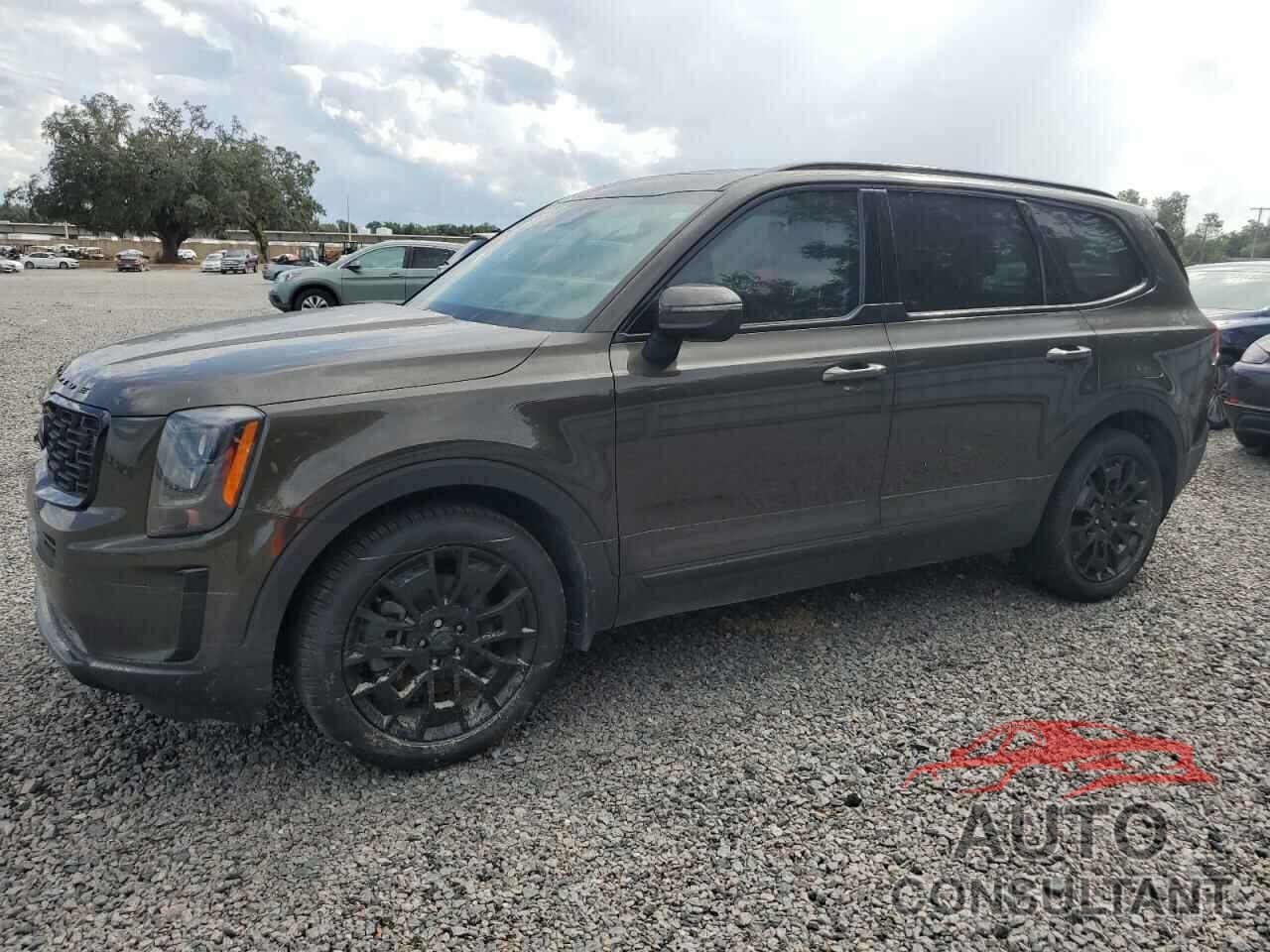 KIA TELLURIDE 2021 - 5XYP3DHC1MG099536