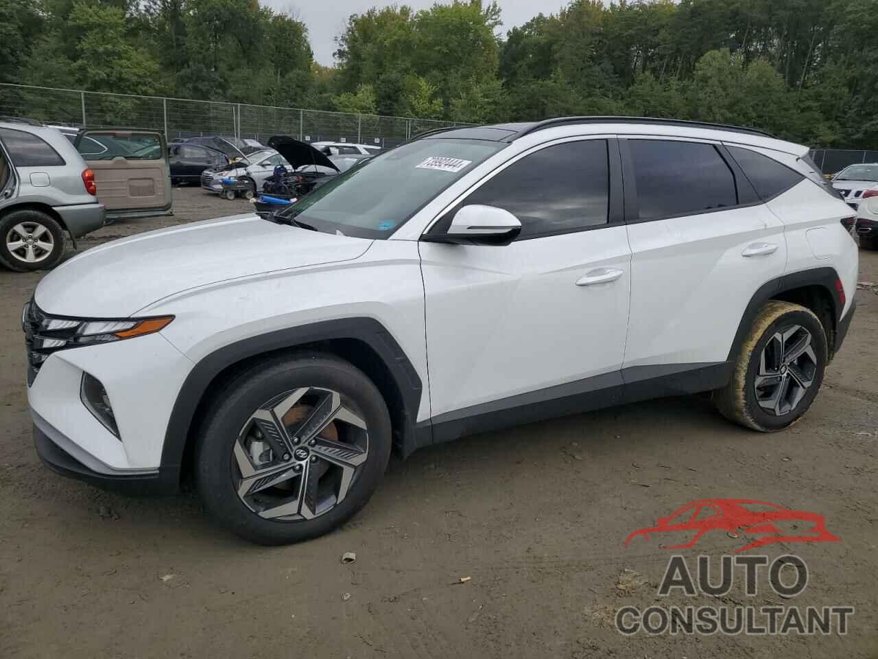 HYUNDAI TUCSON 2023 - KM8JFCA15PU134500