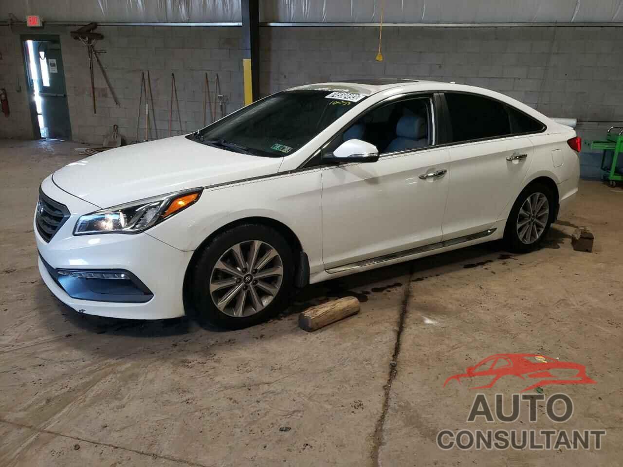 HYUNDAI SONATA 2016 - 5NPE34AF7GH303801