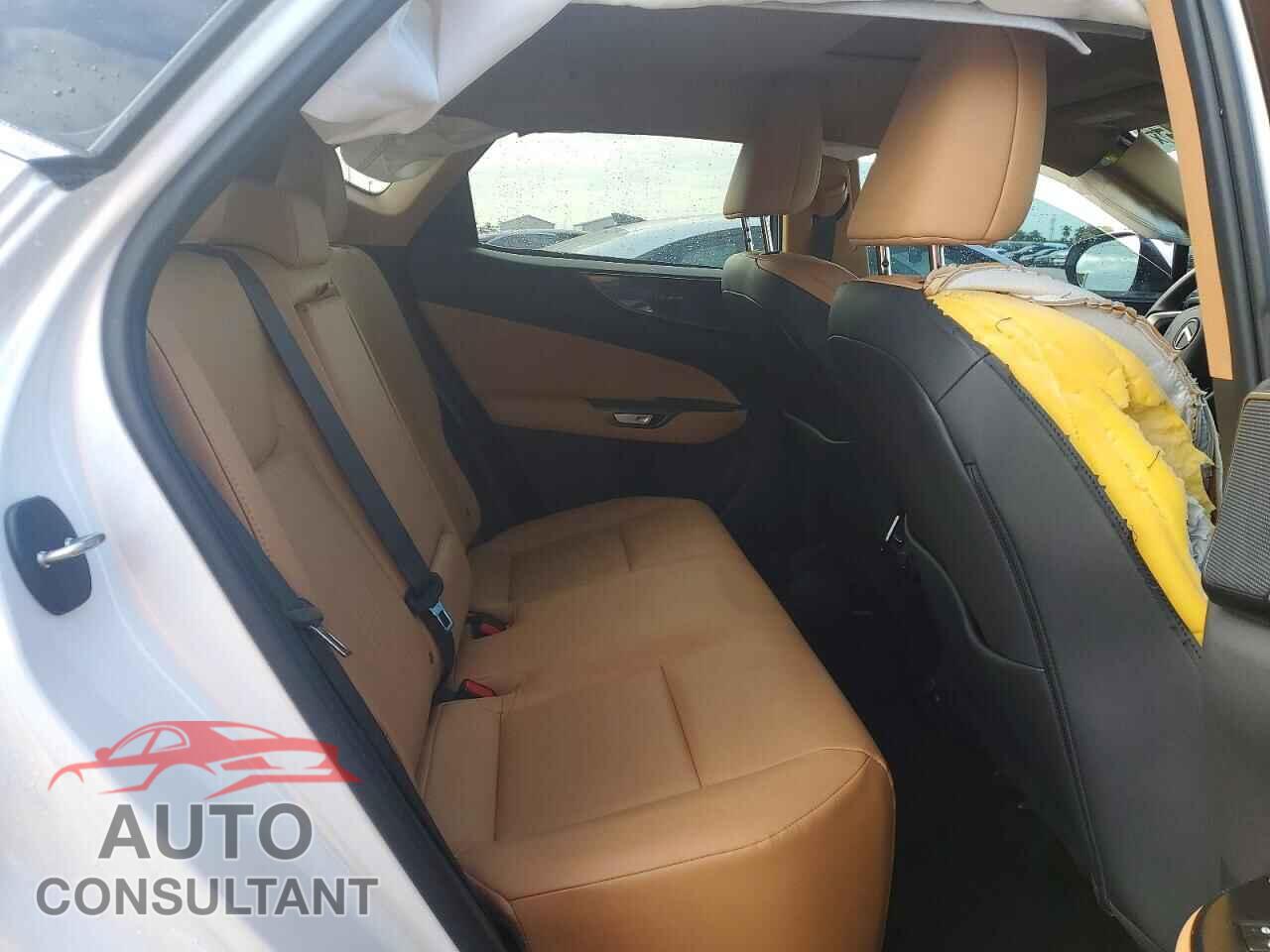 LEXUS UNKNOWN 2025 - 2T2GGCEZ7SC077312