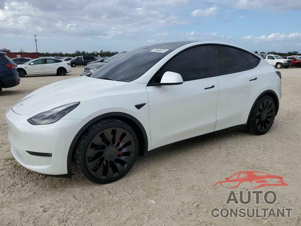 TESLA MODEL Y 2023 - 7SAYGDEF0PF596728