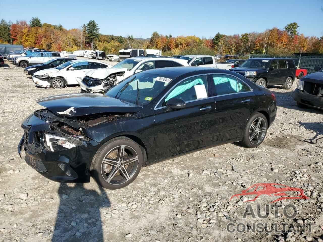 MERCEDES-BENZ A-CLASS 2020 - W1K3G4FB0LW047495
