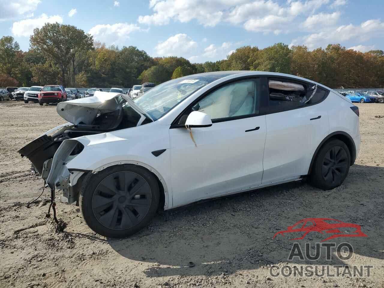 TESLA MODEL Y 2024 - 7SAYGDEE0RA308715