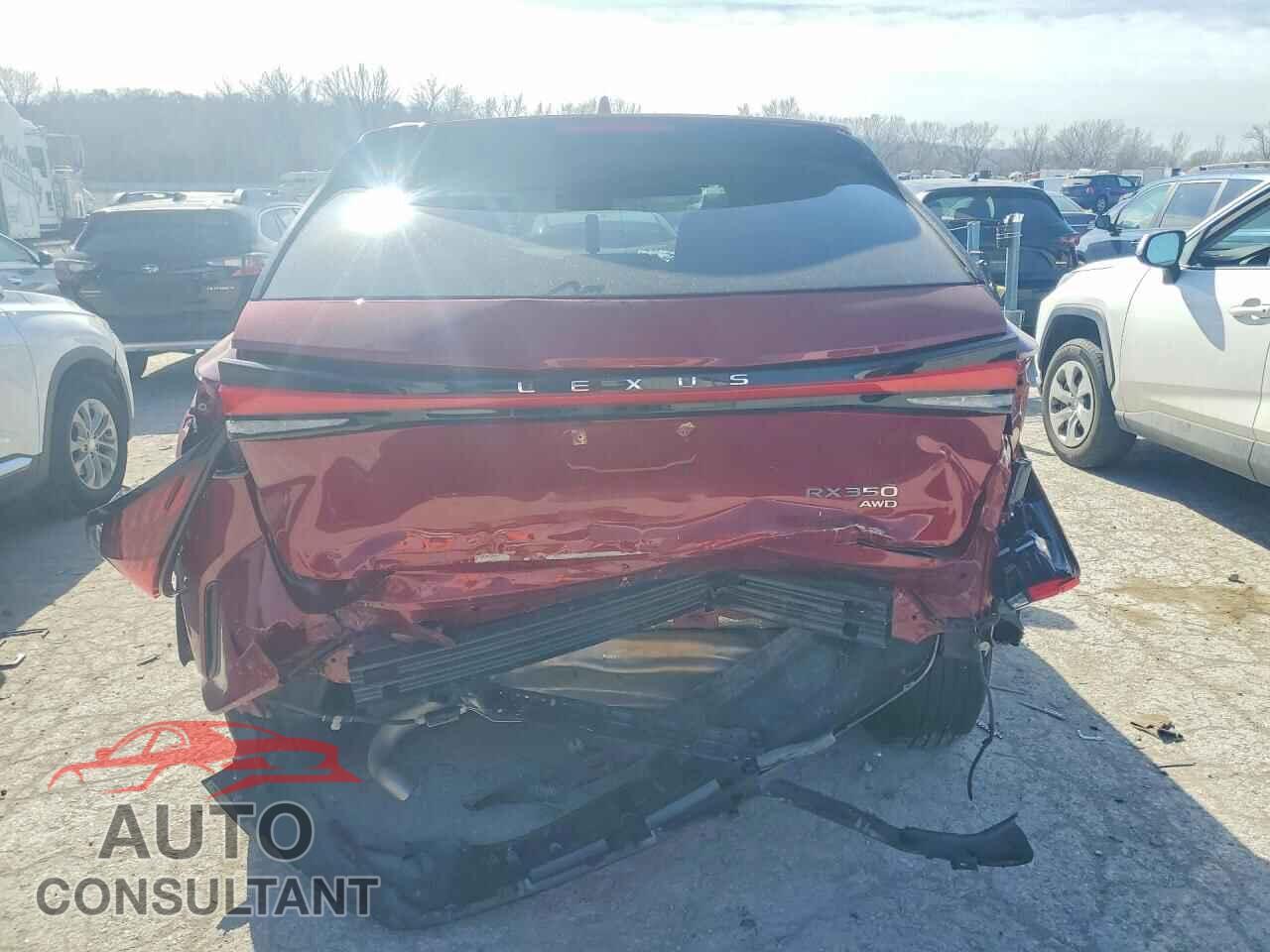 LEXUS RX350 2024 - 2T2BAMCA8RC065663
