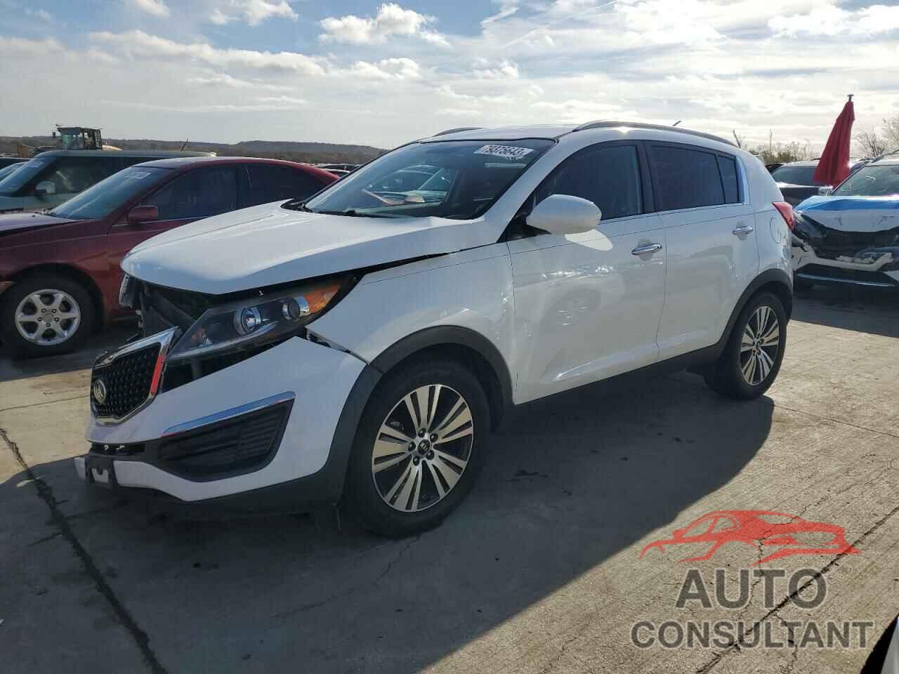 KIA SPORTAGE 2016 - KNDPC3ACXG7875121