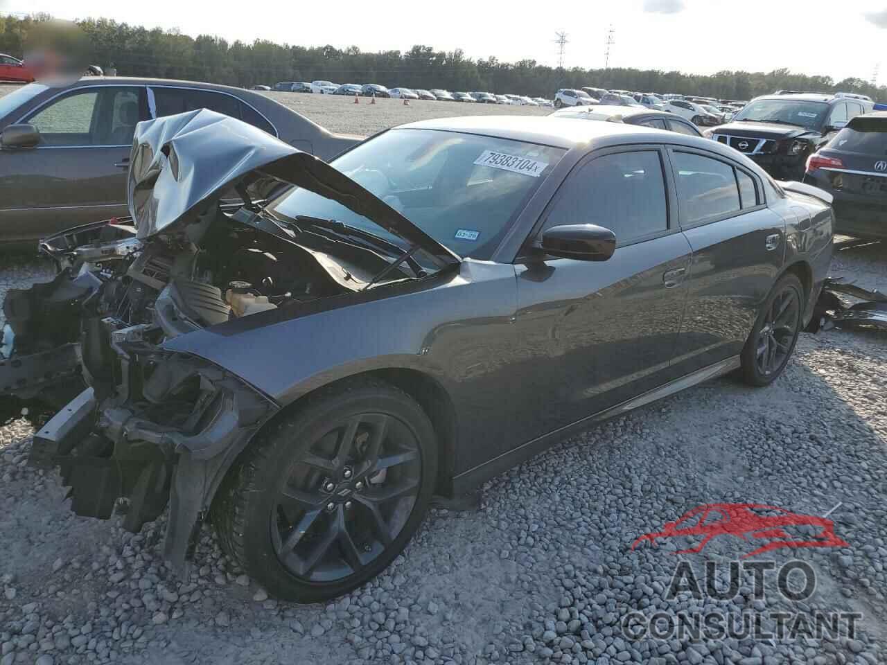 DODGE CHARGER 2023 - 2C3CDXHG7PH631141
