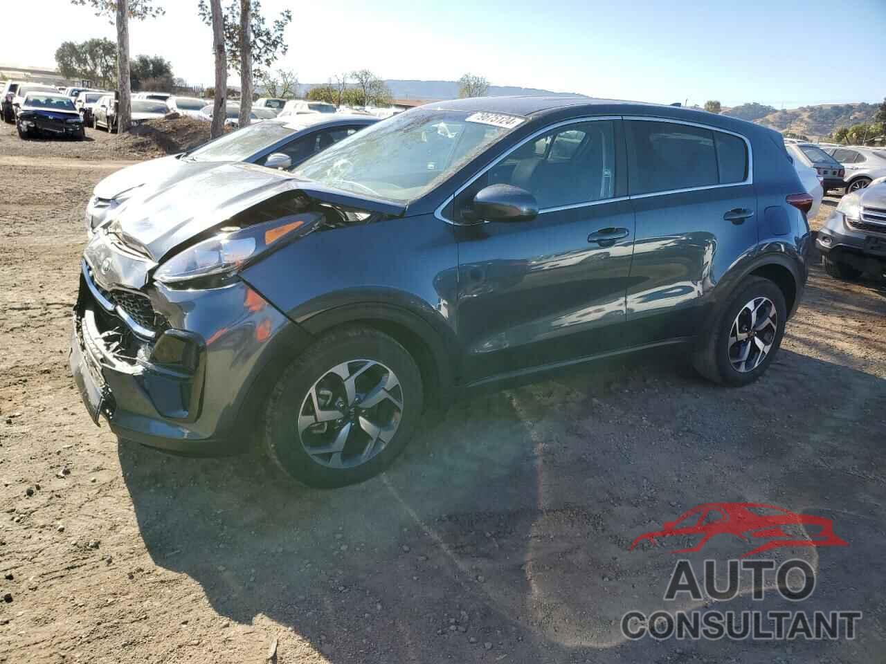 KIA SPORTAGE 2022 - KNDPM3AC7N7971007