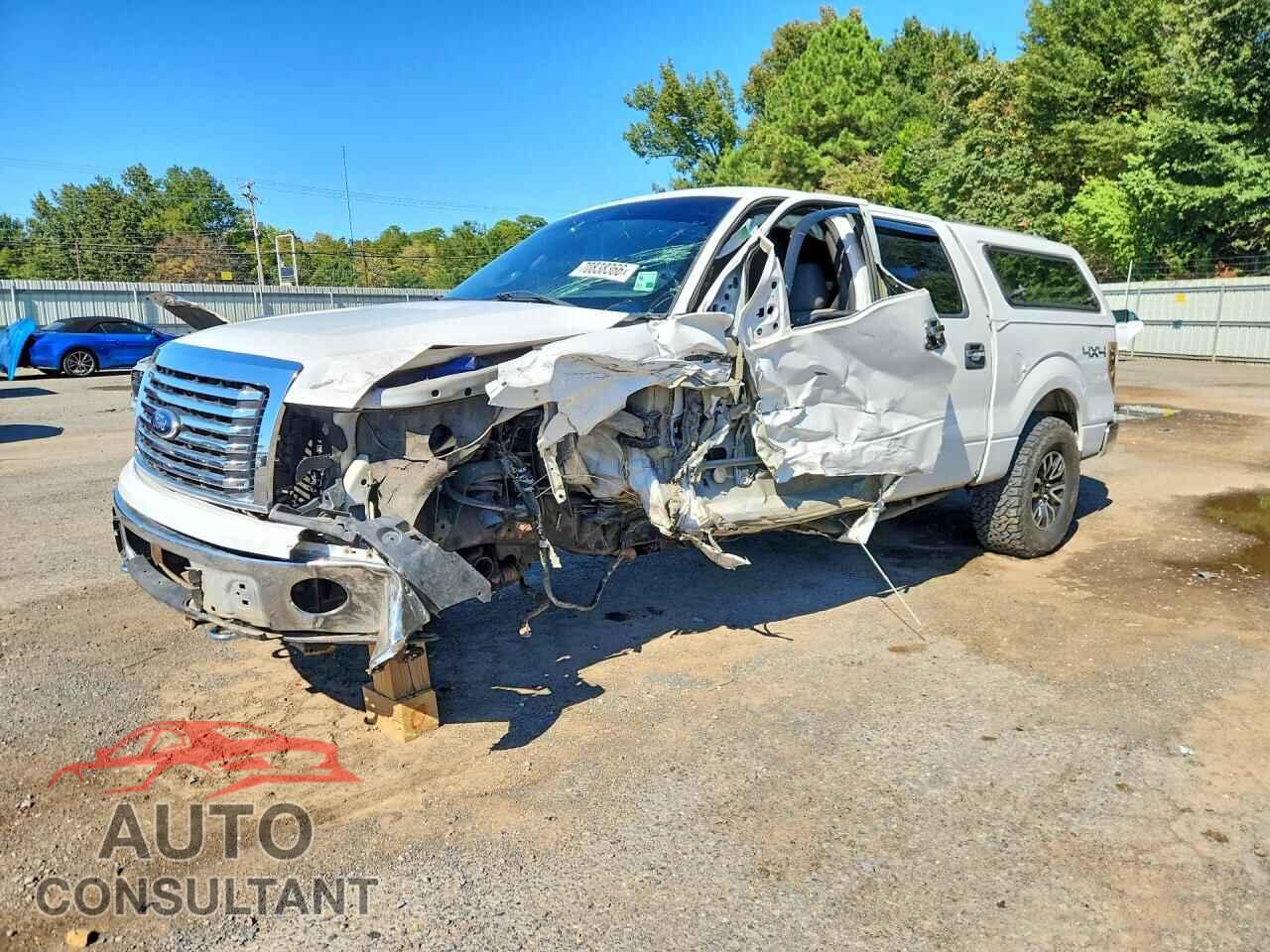 FORD F150 2012 - 1FTFW1EF0CFA95138