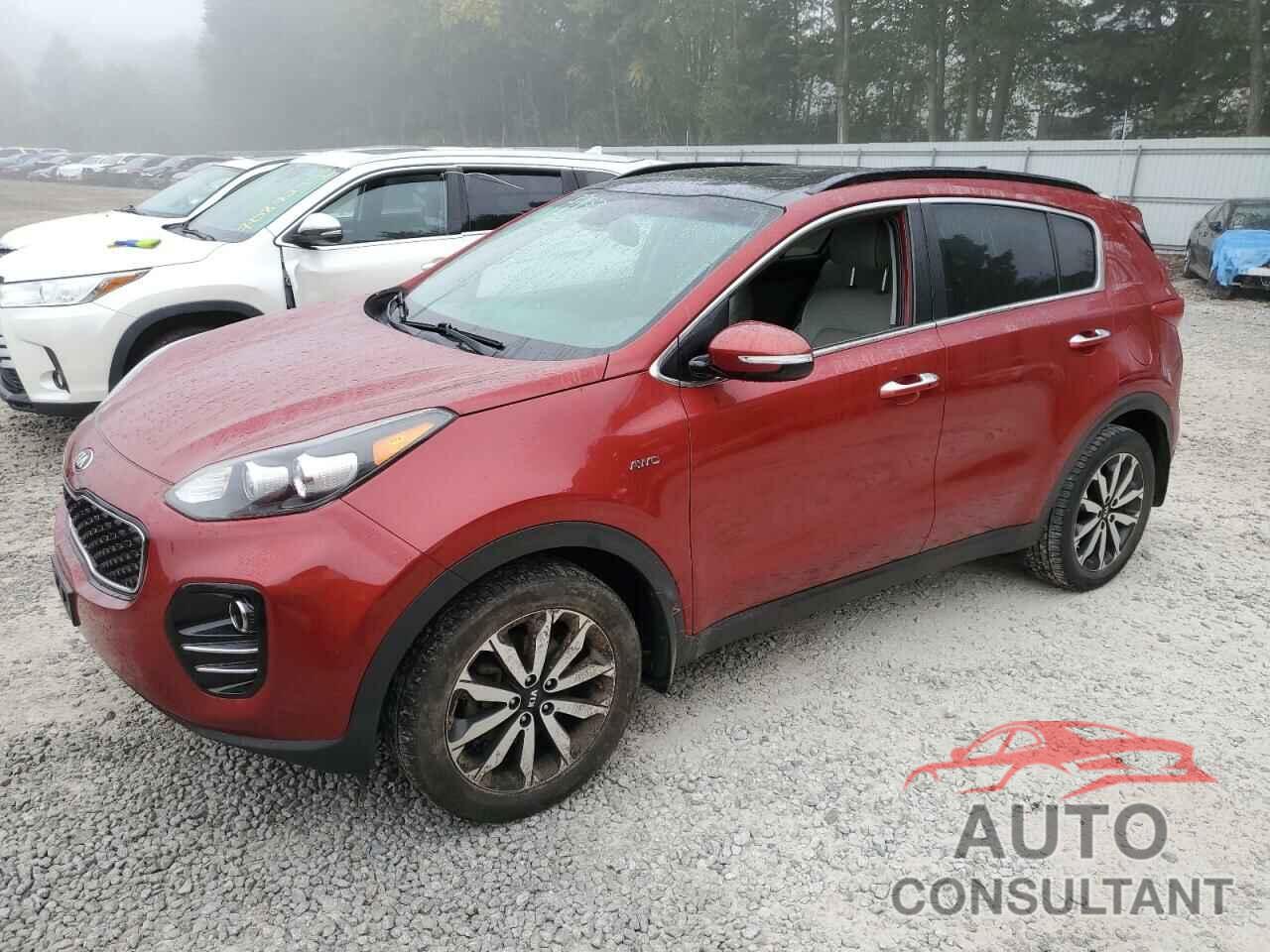 KIA SPORTAGE 2019 - KNDPNCAC9K7555517