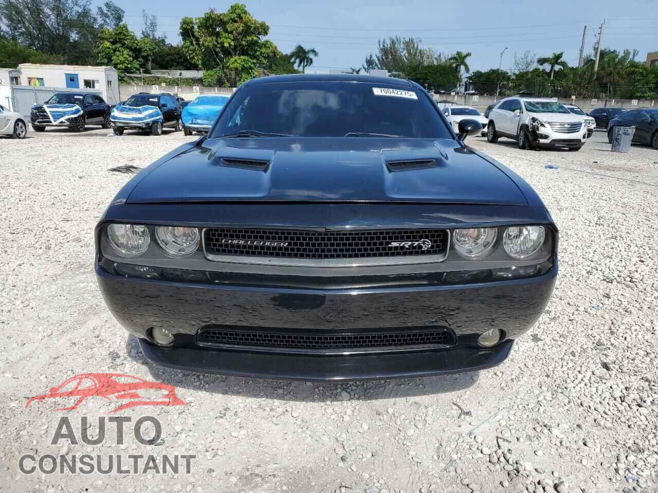 DODGE CHALLENGER 2013 - 2C3CDYAG6DH511794