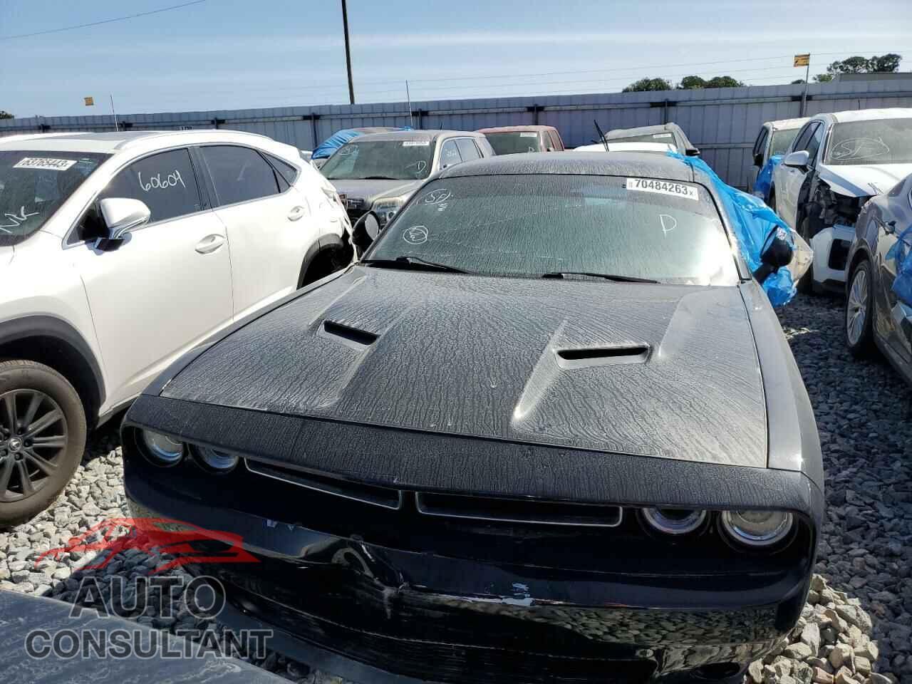 DODGE CHALLENGER 2019 - 2C3CDZGG3KH629781