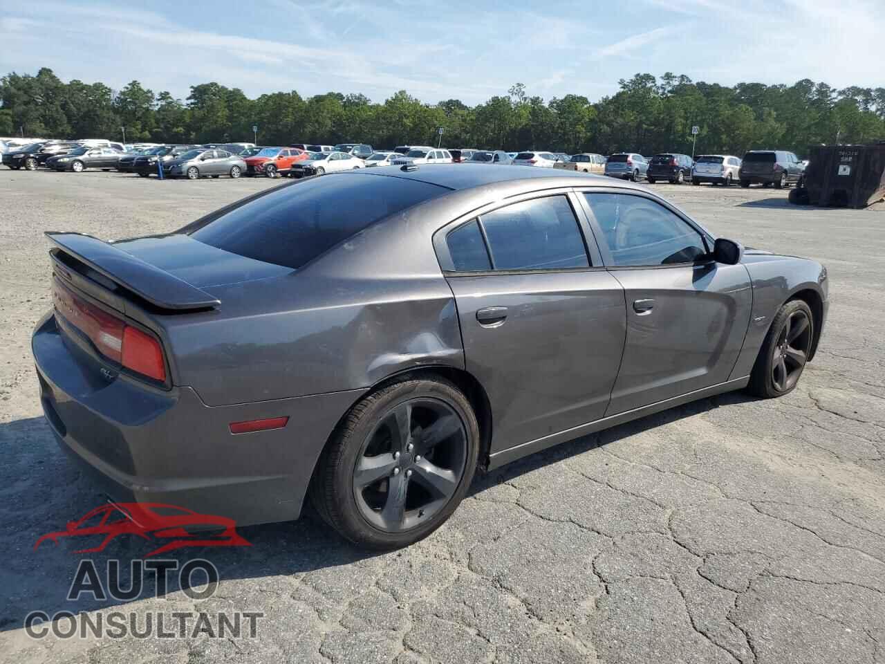 DODGE CHARGER 2014 - 2C3CDXCTXEH230555