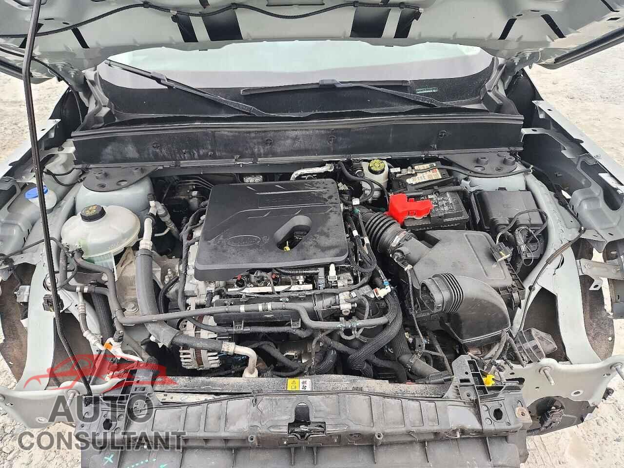 FORD BRONCO 2021 - 3FMCR9B68MRA00936