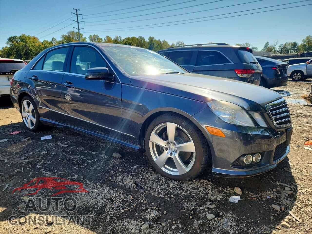 MERCEDES-BENZ E-CLASS 2010 - WDDHF8HB5AA059410