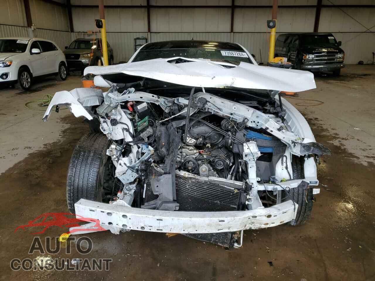 DODGE CHARGER 2020 - 2C3CDXCT3LH219717