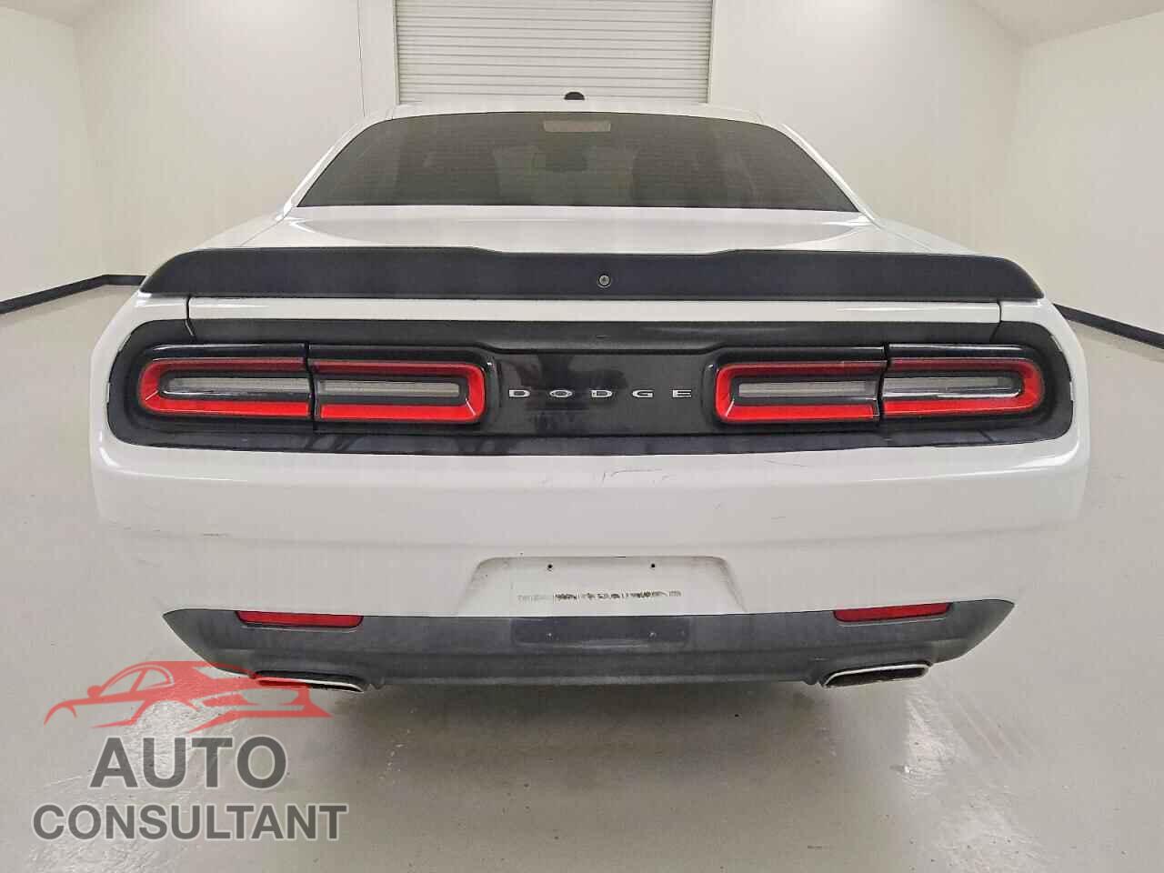 DODGE CHALLENGER 2019 - 2C3CDZAG3KH629689
