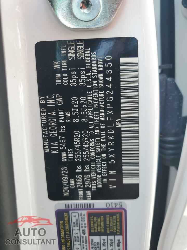 KIA SORENTO 2023 - 5XYRKDLFXPG244350