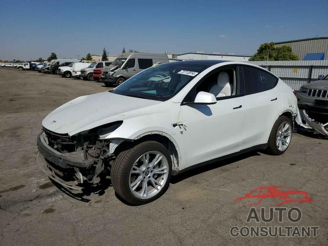 TESLA MODEL Y 2022 - 7SAYGAEE0NF494123