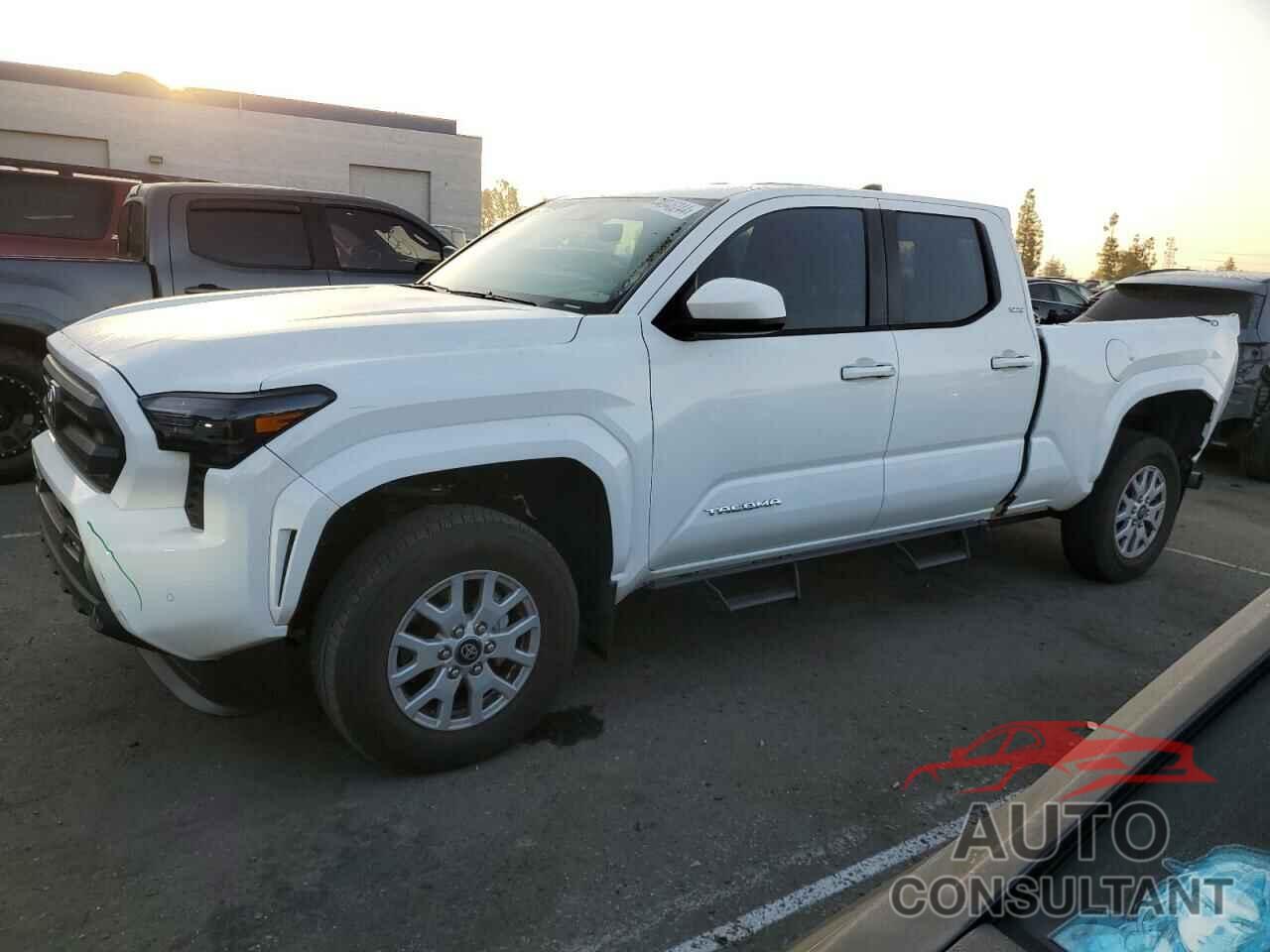 TOYOTA TACOMA 2024 - 3TMLB5JN6RM003784