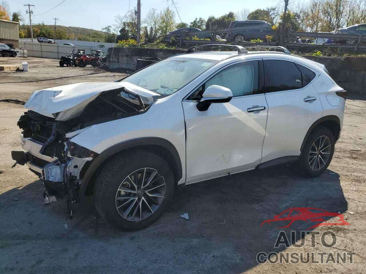 LEXUS NX 350H BA 2024 - JTJGKCEZ6R5018341