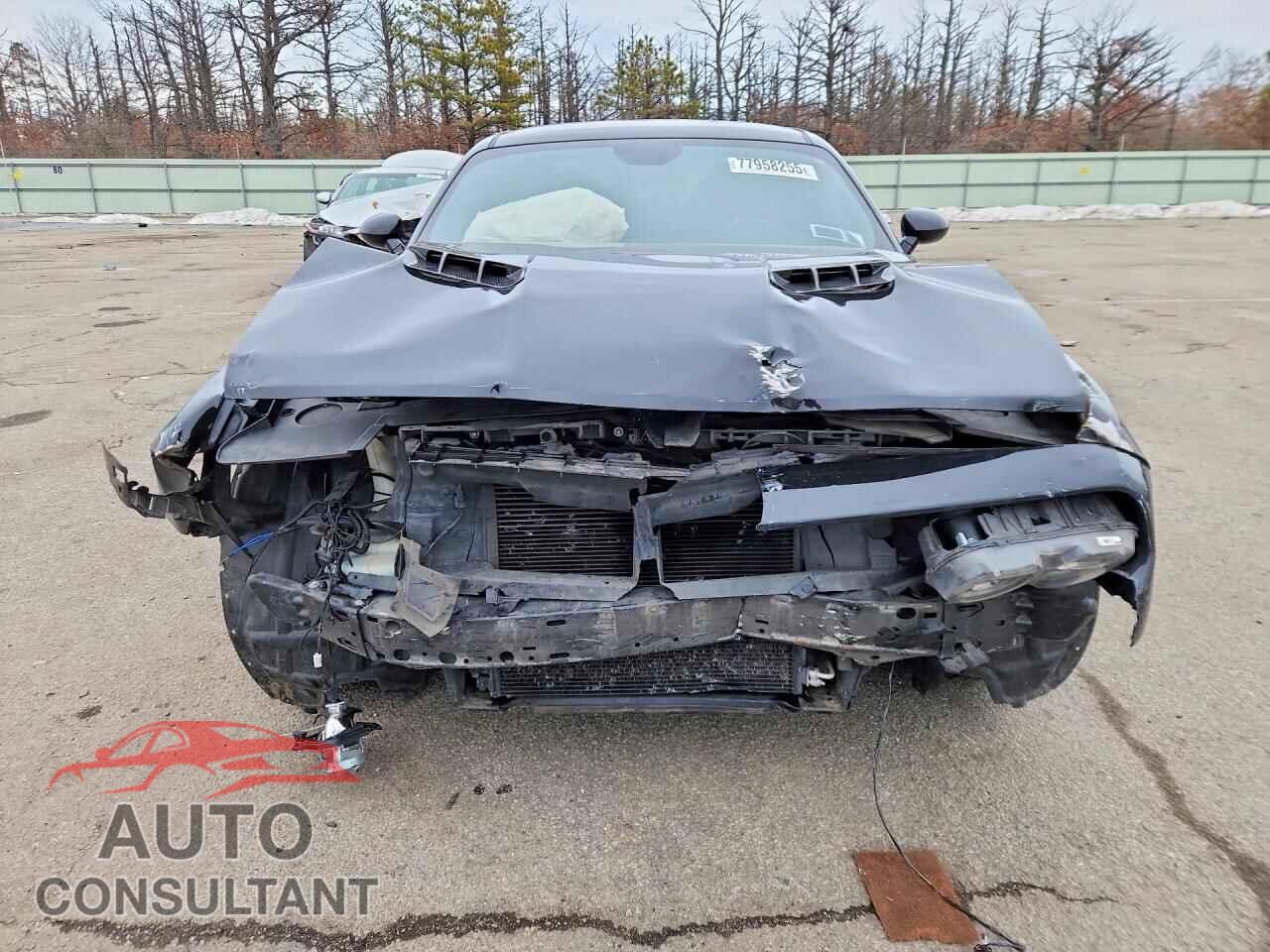 DODGE CHALLENGER 2016 - 2C3CDZAG4GH184676