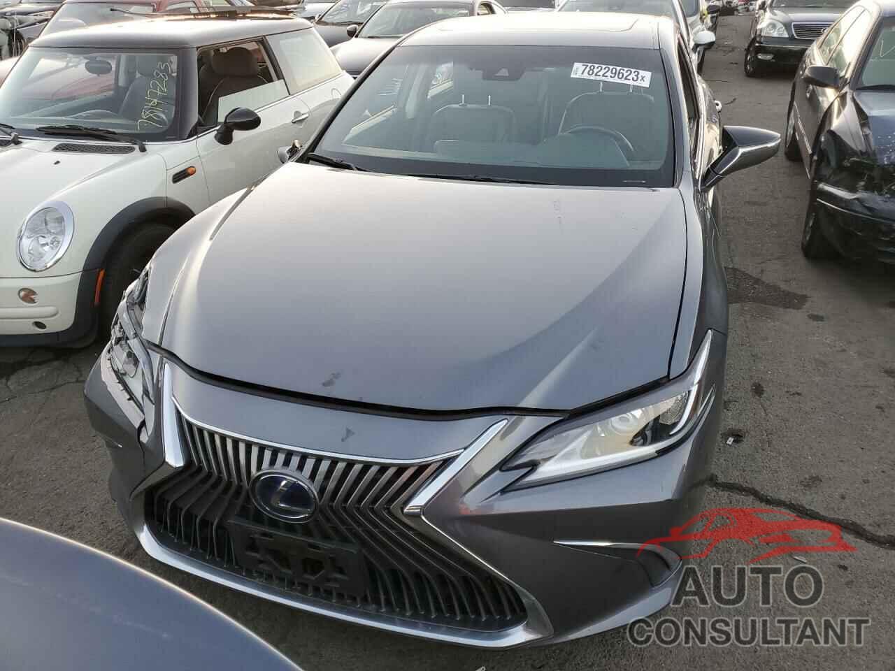 LEXUS ES300 2021 - 58ACA1C14MU003751