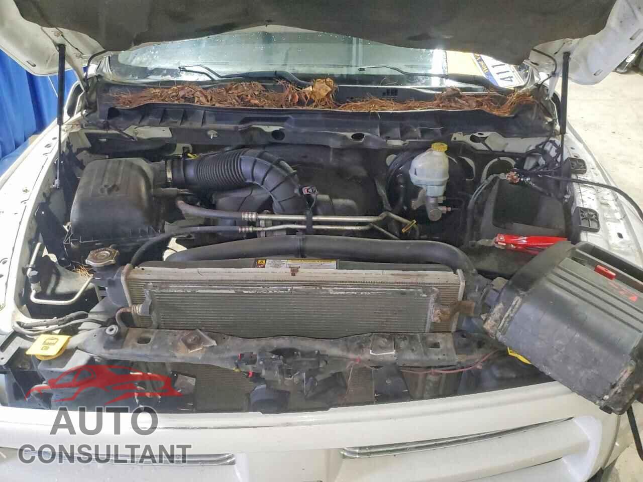 DODGE RAM 1500 2012 - 1C6RD7MT9CS143358