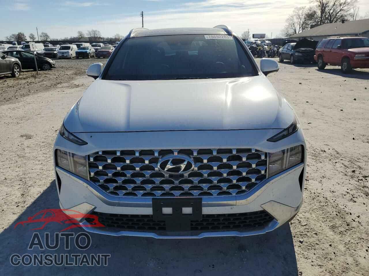 HYUNDAI SANTA FE 2023 - 5NMS3DAJ4PH528567