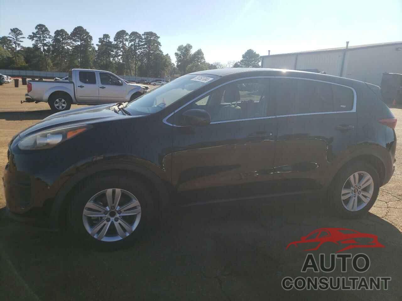 KIA SPORTAGE 2017 - KNDPM3ACXH7088619