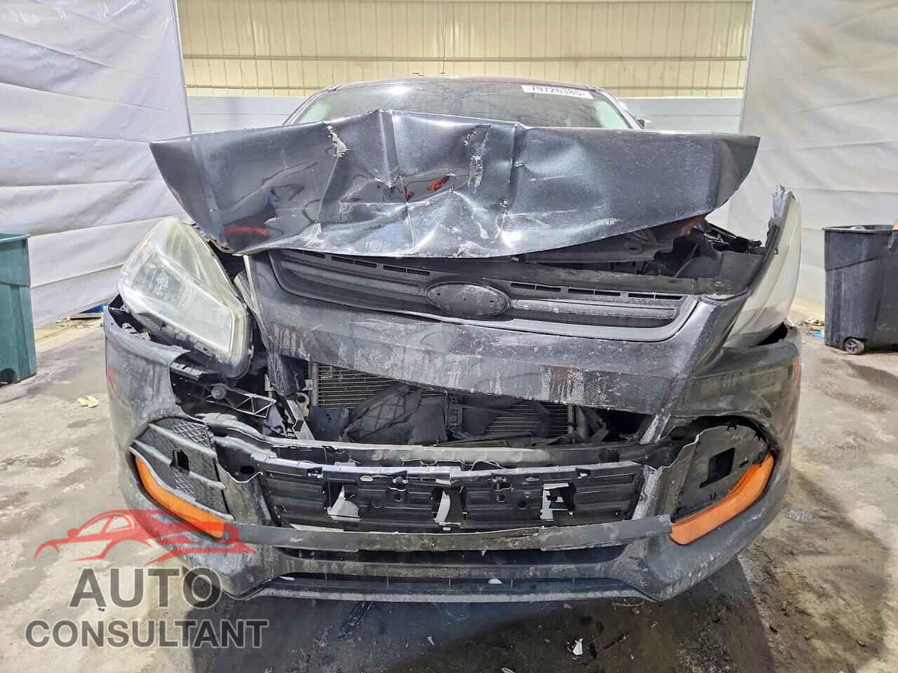 FORD ESCAPE 2014 - 1FMCU0F76EUD55238