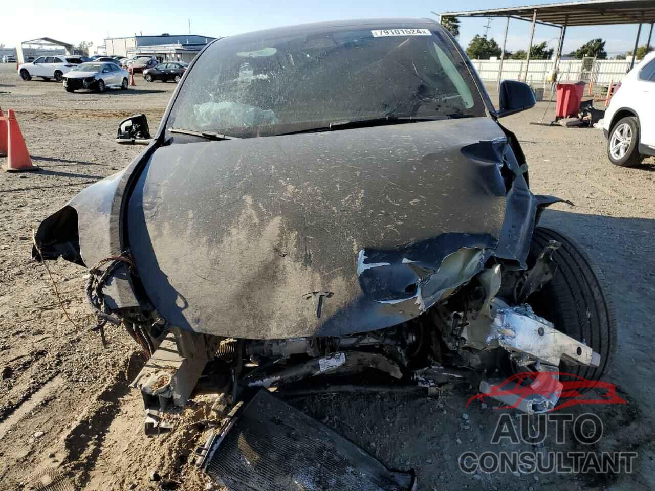 TESLA MODEL Y 2022 - 7SAYGDEF6NF448791