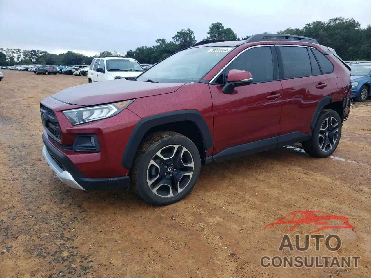 TOYOTA RAV4 2019 - 2T3J1RFV3KW030472