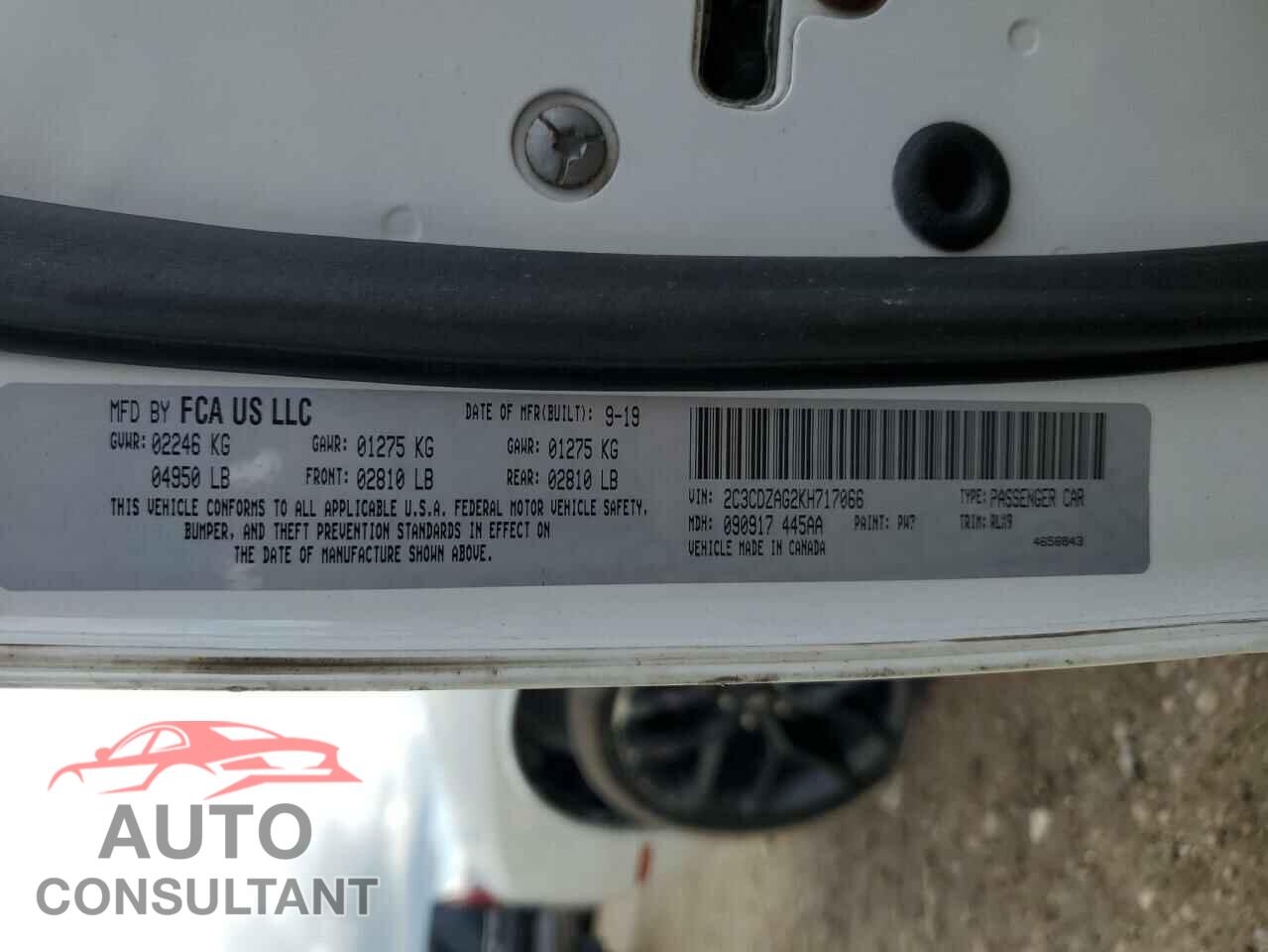 DODGE CHALLENGER 2019 - 2C3CDZAG2KH717066