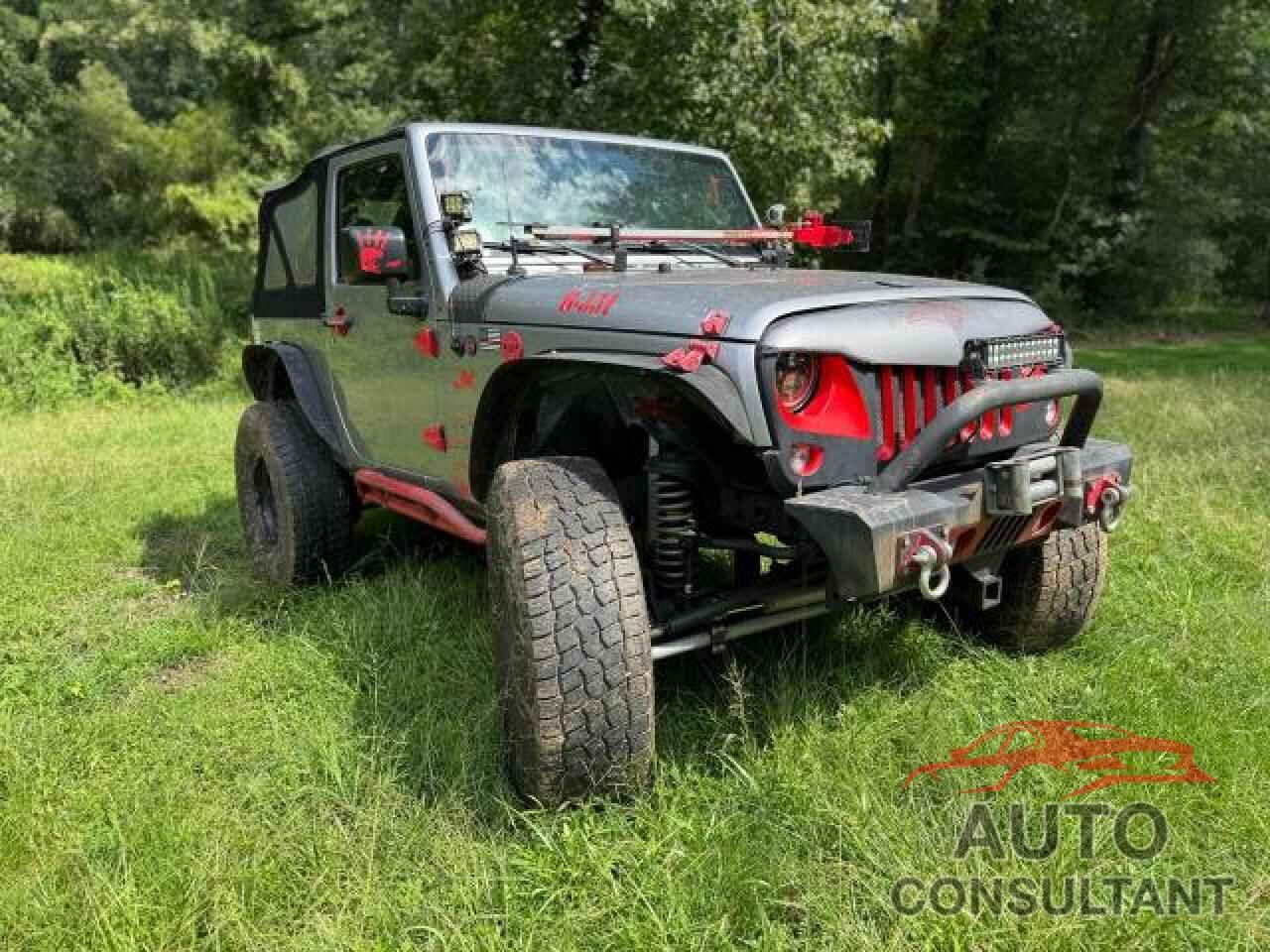 JEEP WRANGLER 2015 - 1C4AJWAG3FL738883