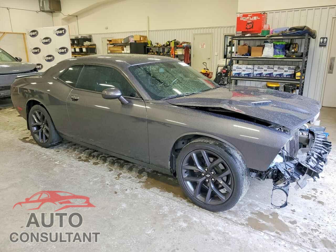DODGE CHALLENGER 2019 - 2C3CDZAG7KH557542