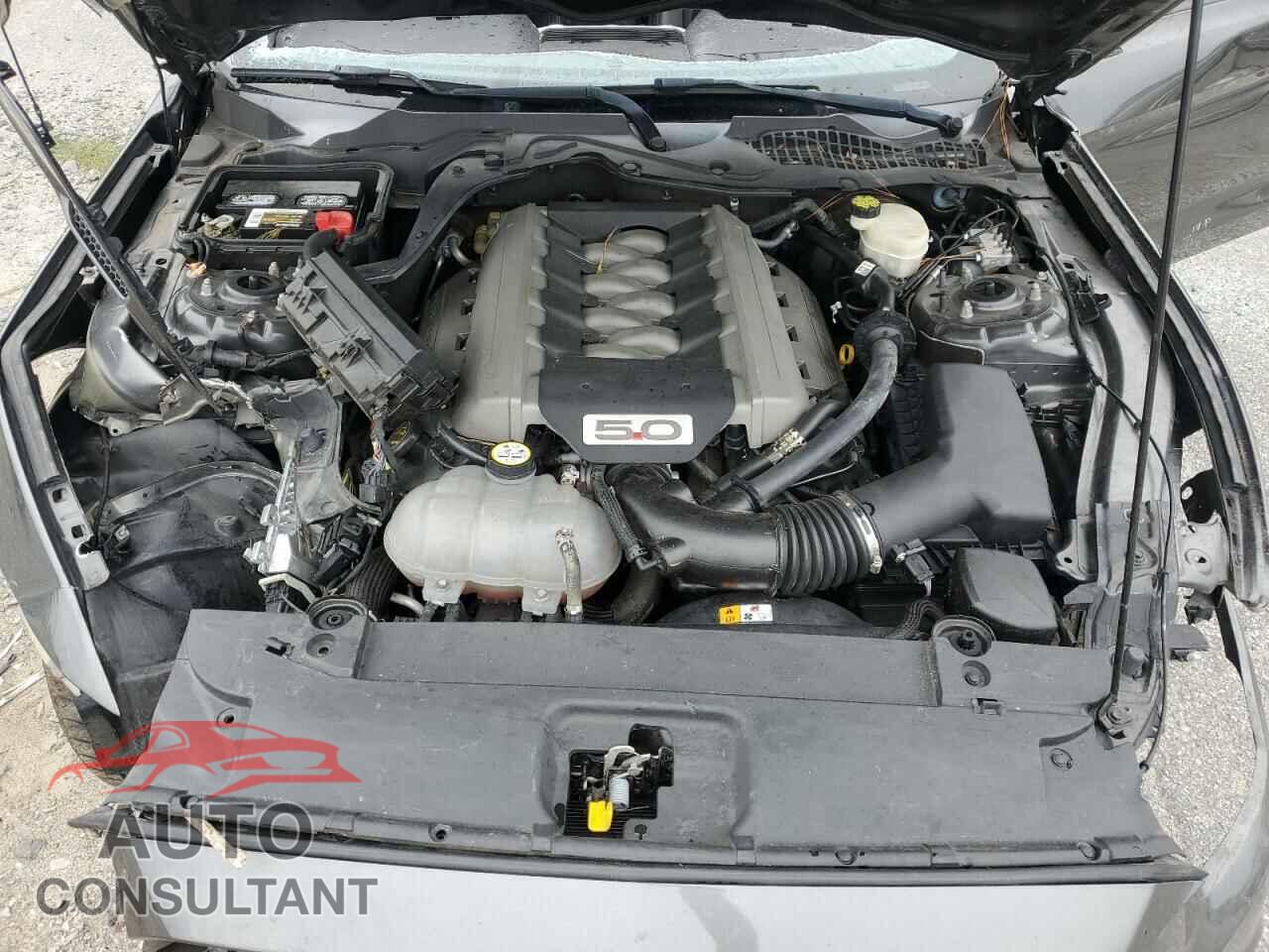 FORD MUSTANG 2017 - 1FA6P8CF2H5252681