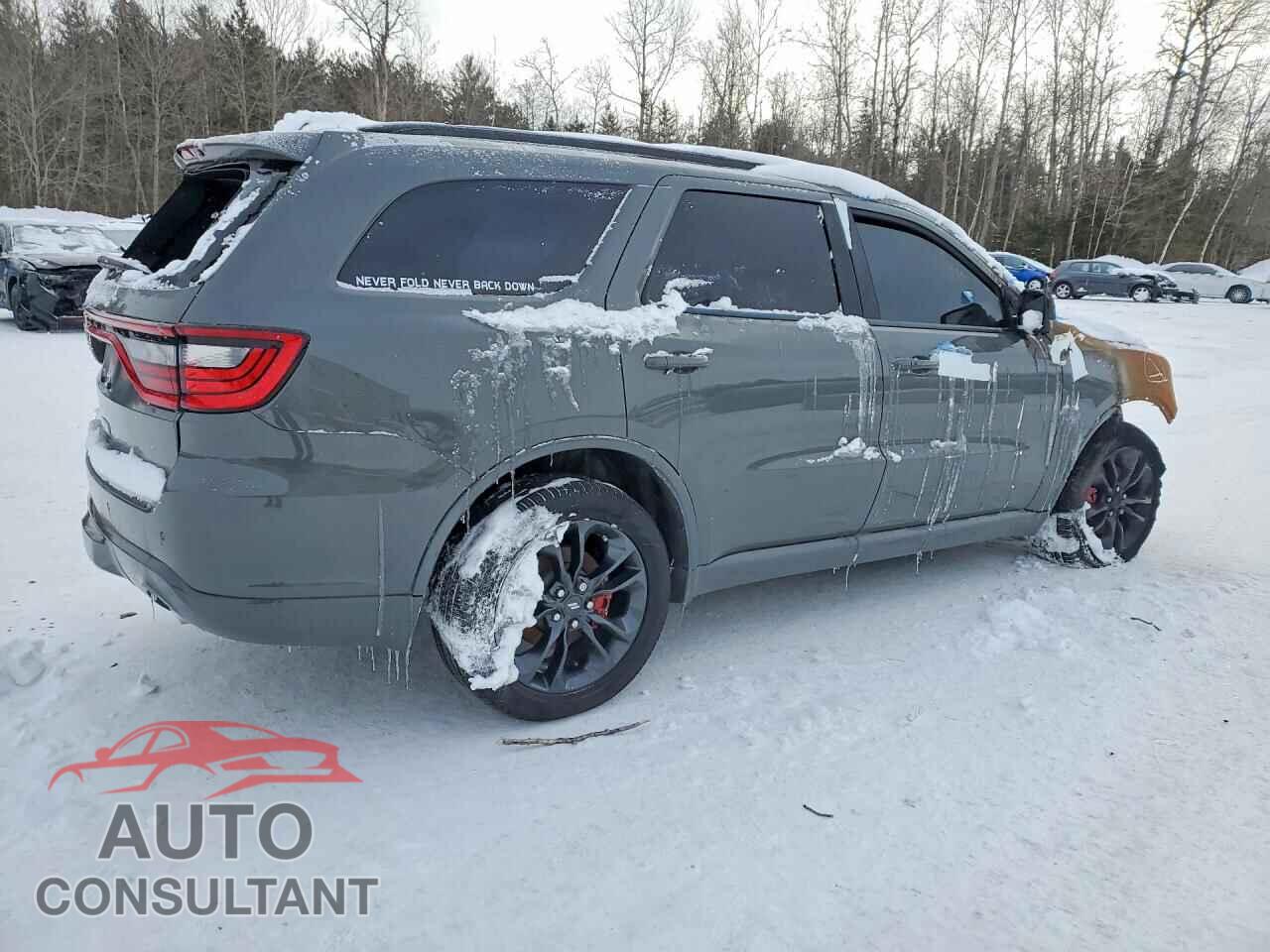 DODGE DURANGO 2023 - 1C4RDJDG9PC656537