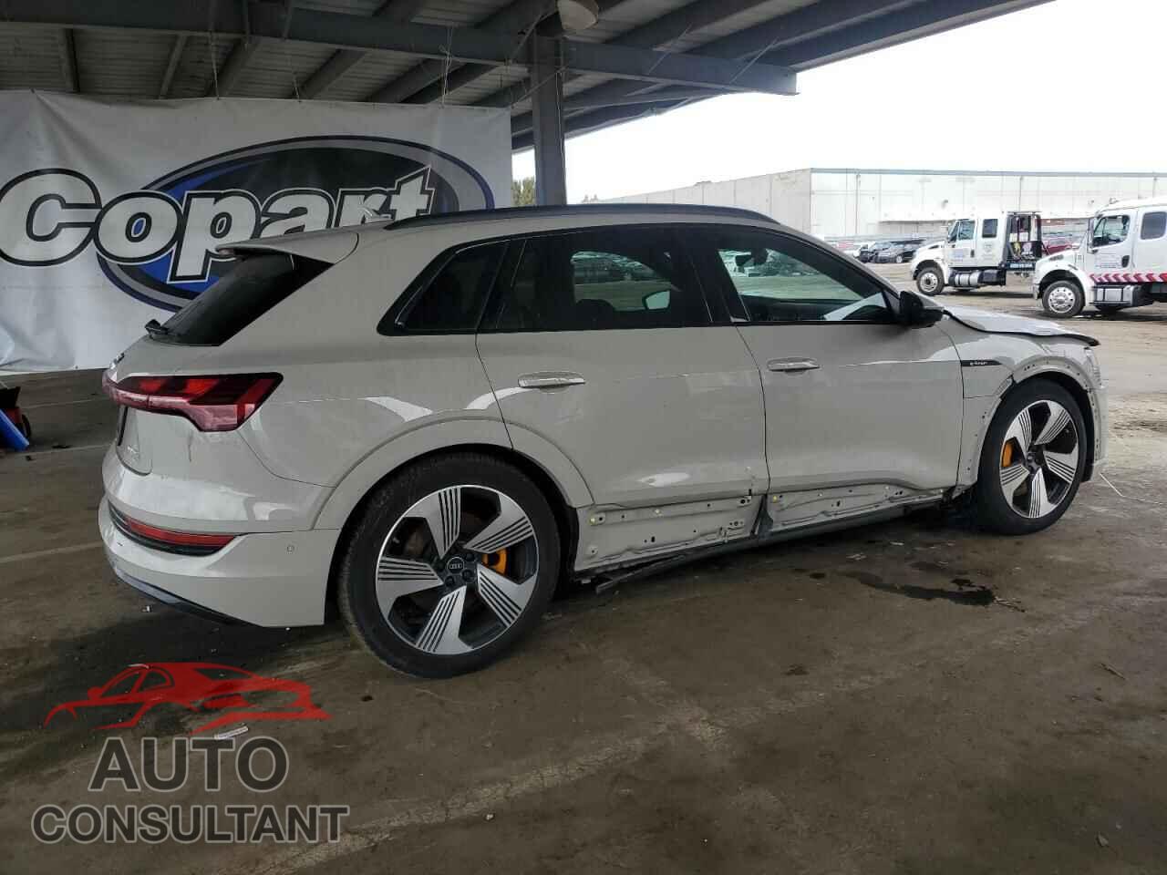 AUDI E-TRON 2022 - WA1LAAGE2NB032102