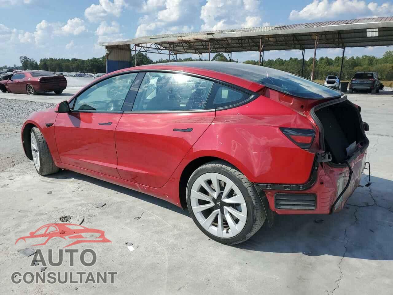 TESLA MODEL 3 2023 - 5YJ3E1EA4PF439235