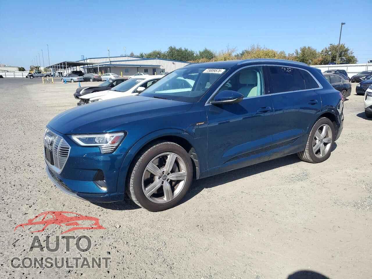 AUDI E-TRON 2019 - WA1LAAGE9KB012554