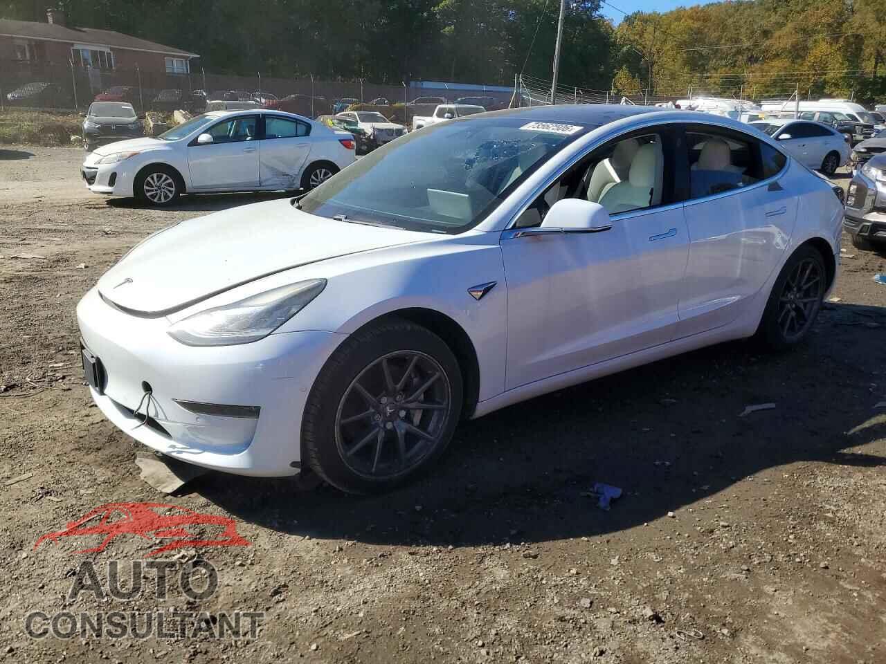 TESLA MODEL 3 2019 - 5YJ3E1EA3KF407613